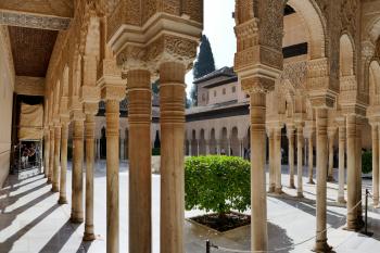  ( © Pavel Semple 09/2018)