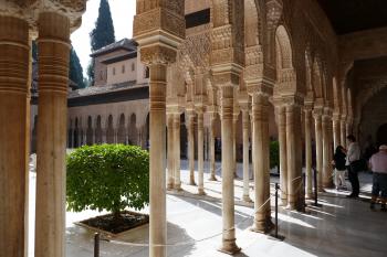  ( © Pavel Semple 09/2018)