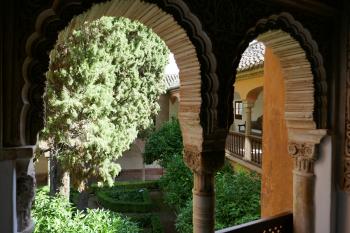  ( © Pavel Semple 09/2018)