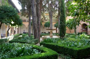  ( © Pavel Semple 09/2018)