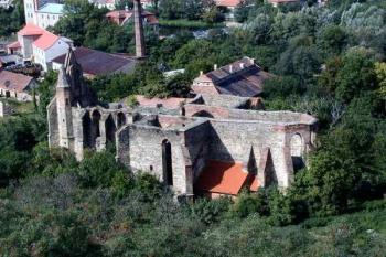 Rosa coeli - Dolní Kounice (2003 ©Pavel Zany Komárek)