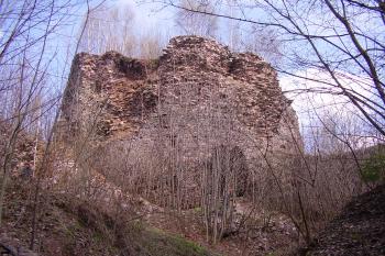  (© Jan Švejkar, 04/2006)
