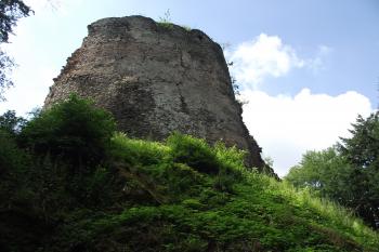  (© Michal Brůža, 07/2011)