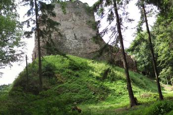  (© Michal Brůža, 07/2011)