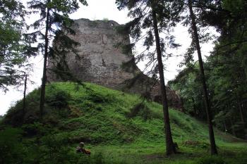 (© Michal Brůža, 07/2011)