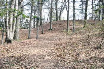  (© Iva Spurná 04/2005)