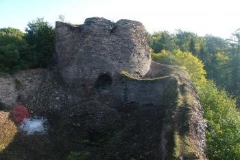 Týden po vyklestění (© Jiří Čížek, 09/2008)