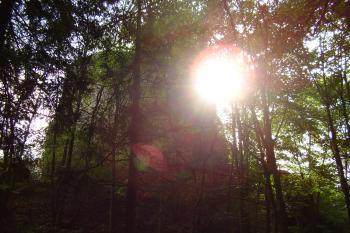 sluníčko na Frymburku (© Rodochrozit, 10/2006)
