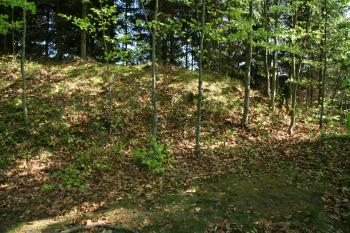 Předsunutá vížka (© Petr Nožička, 04/2009)