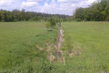 Potok Osina,louky, kde stávala středověká vesnice (© Ivo Rozehnal 05/2019)