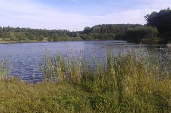 Rybník Osina (© Ivo Rozehnal 10/2020)