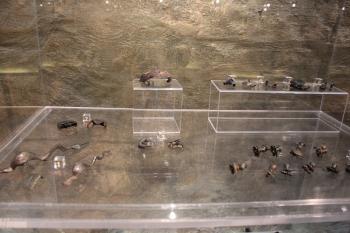 Archeologické nálezy z mušovského Hradiska v expozici muzea Mikulov ( © Luděk Vláčil 05/2019)