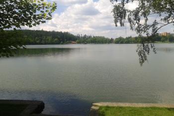 Rybník Olšovec ( © Ivo Rozehnal 06/2019)