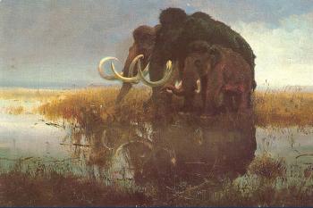 Mammuthus primigenius (© obraz Zdeňka Buriana (foto: J. Skořepa - Grafiatisk s.p., Děčín))