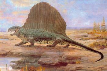 Dimetrodon limbatus (© obraz Zdeňka Buriana (foto: J. Skořepa - Grafiatisk s.p., Děčín))