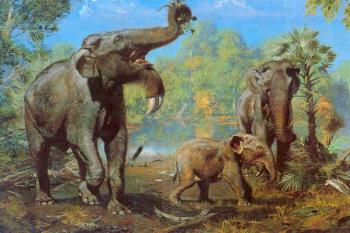 Deinotherium giganteum (© obraz Zdeňka Buriana (foto: J. Skořepa - Grafiatisk s.p., Děčín))