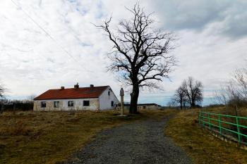  ( © Milan Caha 04/2019)