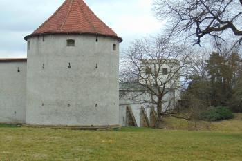 Bašta v sz. nároží areálu (© Dušan Dohňanský 02/2021)