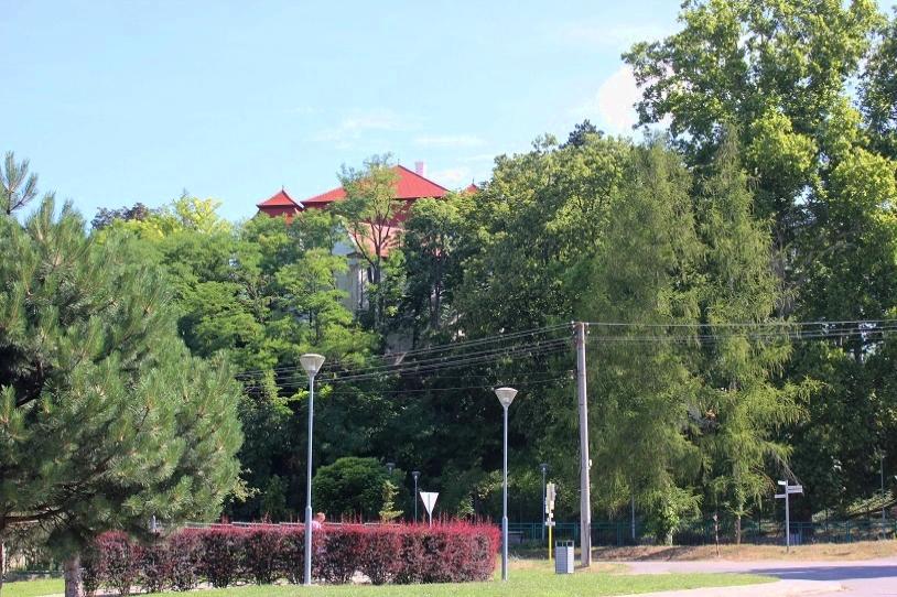 Lúka