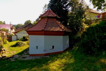  ( © Milan Caha 07/2019)
