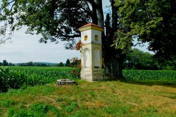  ( © Milan Caha 07/2019)