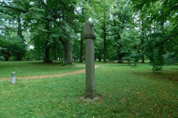  ( © Milan Caha 07/2019)