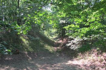 příkop podél sz. strany jádra (© D Dohňanský, 08/2018)
