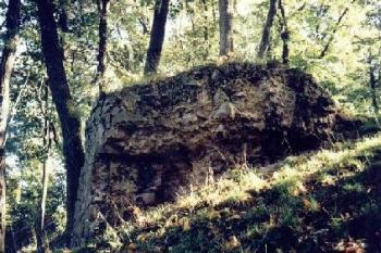 Fulštejn (2001 ©Radim Bystroň)