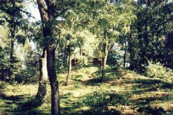 Fulštejn (2001 ©Radim Bystroň)