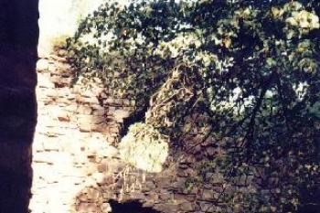 Fulštejn (2001 ©Radim Bystroň)