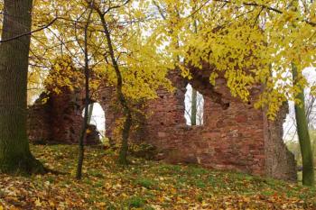  (© Tomáš Berka, 11/2007)