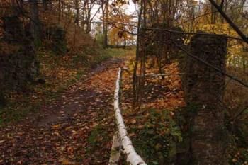  (© Tomáš Berka, 11/2007)