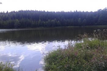 Rybník je obklopen lesy (© Ivo Rozehnal 08/2019)