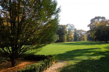 zám.park (© D Dohňanský, 10/2018)