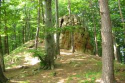 Rýsov
