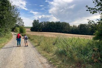 Příjemná cesta na procházku k sopce (© Jiří Čížek 08/2020)