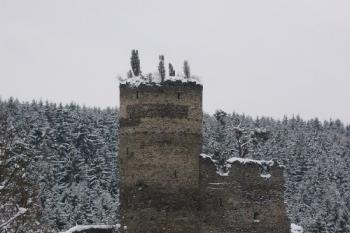 Gutstejn (©   01/2006)