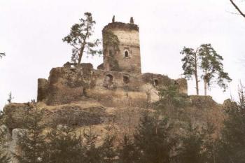 Celkový pohled na hrad (2003 ©Šemík)