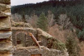 Zadní branka (2003 ©Šemík)