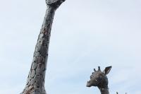 Kovozoo