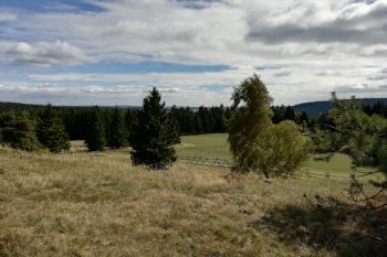 NPP Křížky ( © Simona Kidlesová 9/2019)