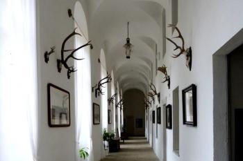  ( © František Kinař 07/2017)