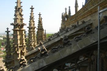 Podpěrný systém (© Jiří Čížek, 05/2009)