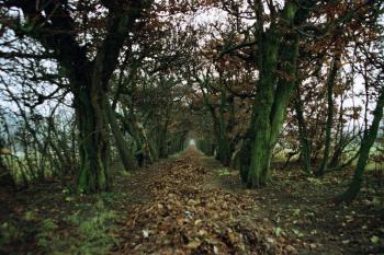 Milotice (© radek dohnálek, 10/2009)