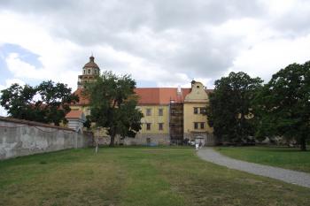  (© Michal Brůža, 05/2011)