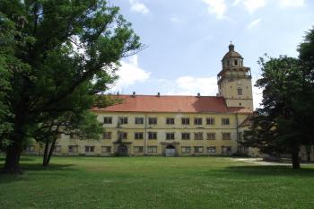  (© Michal Brůža, 05/2011)
