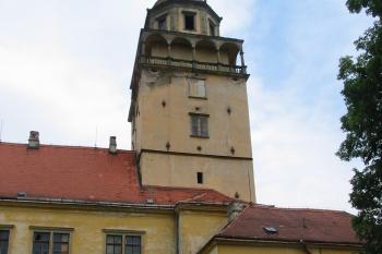 Zdevastovaná část záp.křídla s věží ( © Dušan Dohňanský 06/2016)