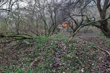  ( © Prudký Martin 11/2019)