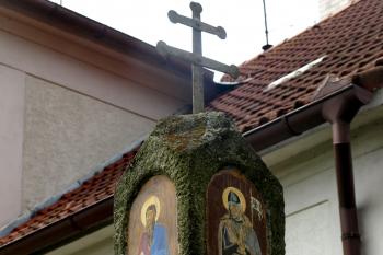 hlavice božích muk ( © Milan Caha 04/2015)