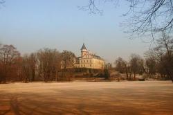 Raduň